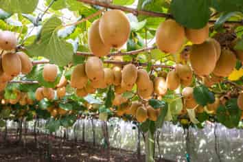 865B Oropi Road, Oropi