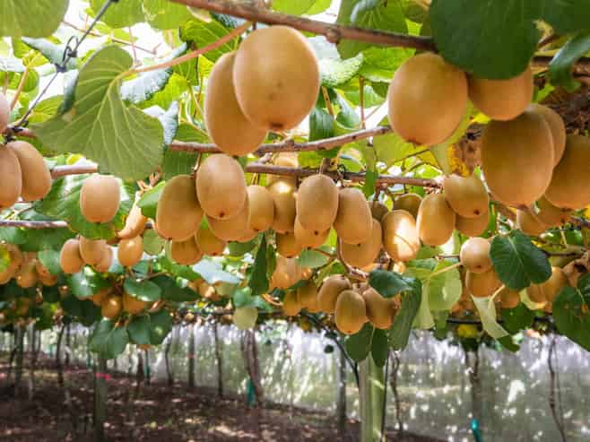 865B Oropi Road, Oropi