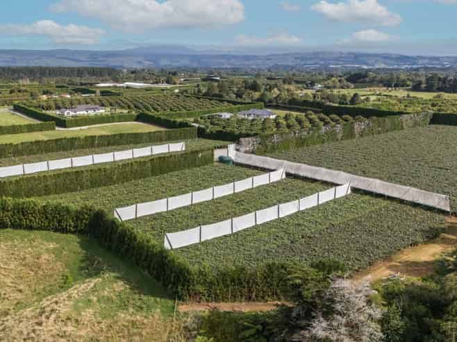 865B Oropi Road, Oropi