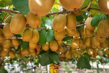 865B Oropi Road, Oropi