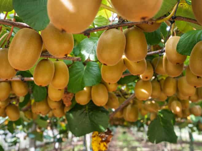 865B Oropi Road, Oropi