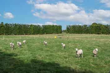 865B Oropi Road, Oropi