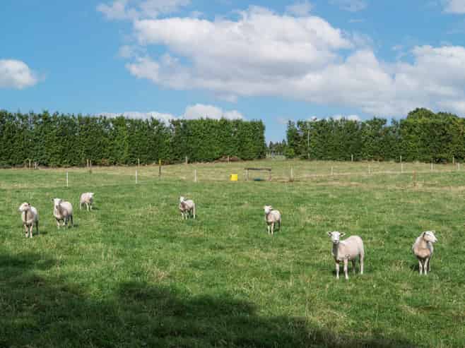 865B Oropi Road, Oropi