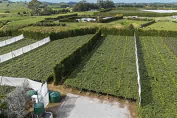 865B Oropi Road, Oropi