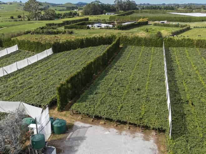 865B Oropi Road, Oropi