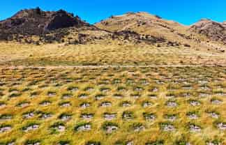  Masons Flat Forest, Hawarden