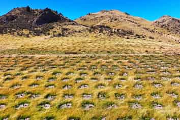  Masons Flat Forest, Hawarden