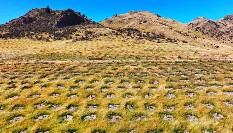  Masons Flat Forest, Hawarden