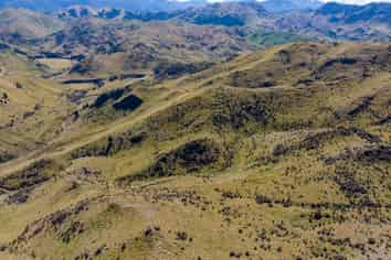  Masons Flat Forest, Hawarden