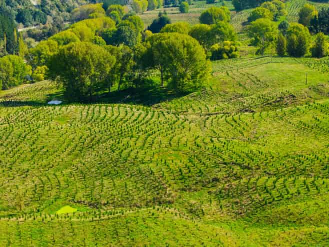 Tiniroto Road, Hangaroa