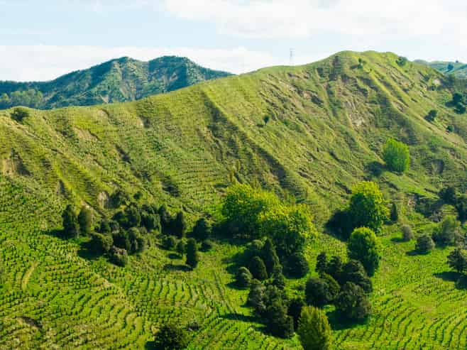 Tiniroto Road, Hangaroa