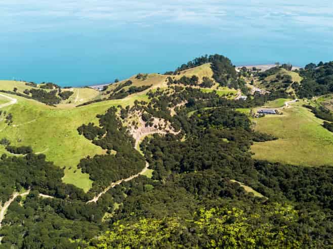 998 Thames Coast SH25 Road, Thames