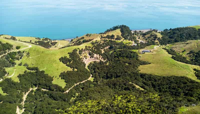 998 Thames Coast SH25 Road, Thames