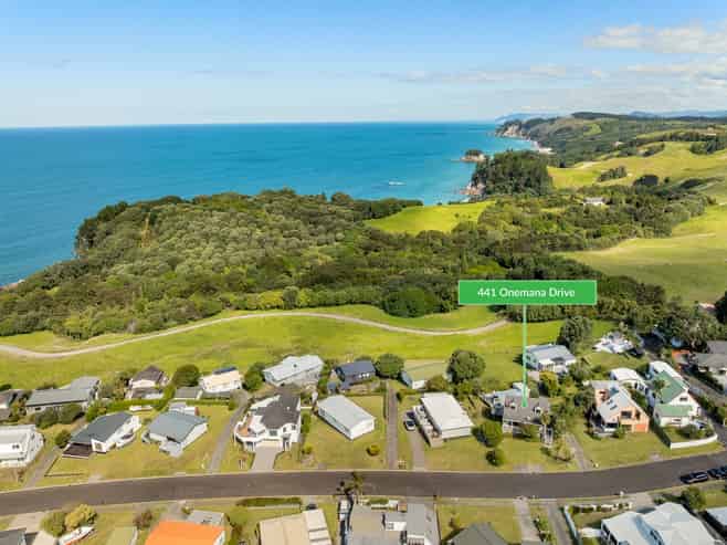 441 Onemana Drive, Onemana