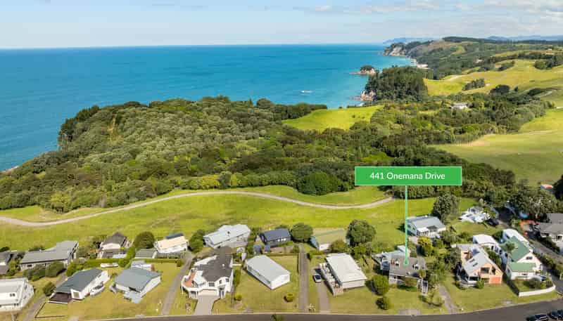 441 Onemana Drive, Onemana