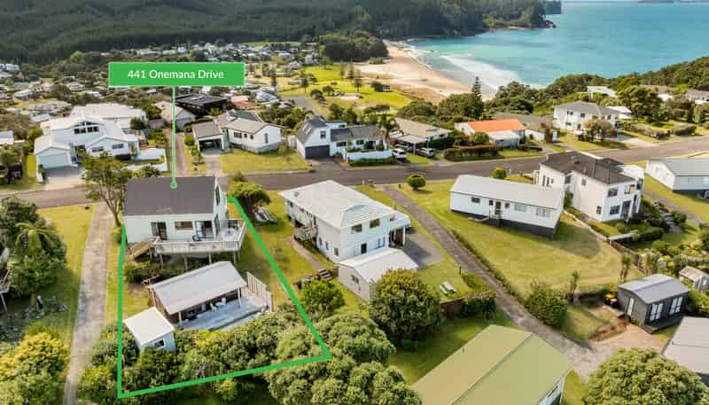 441 Onemana Drive, Onemana