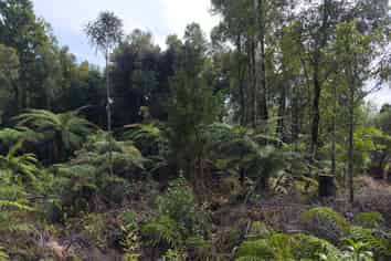  Ballarat Rise, Awatuna