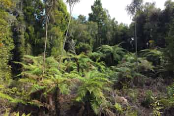  Ballarat Rise, Awatuna
