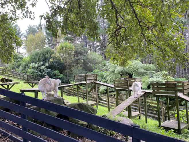 2 Cowan Bay Road, Warkworth