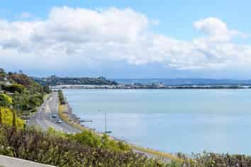 5 Chamerion Way, Atawhai