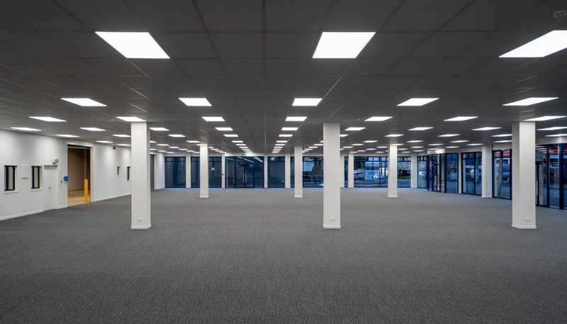 Ground Floor 93 Dominion Rd, Mount Eden