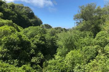 17 Awarua Street, Ngaio