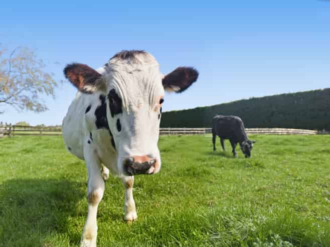 207b Peers Road, Kaimai