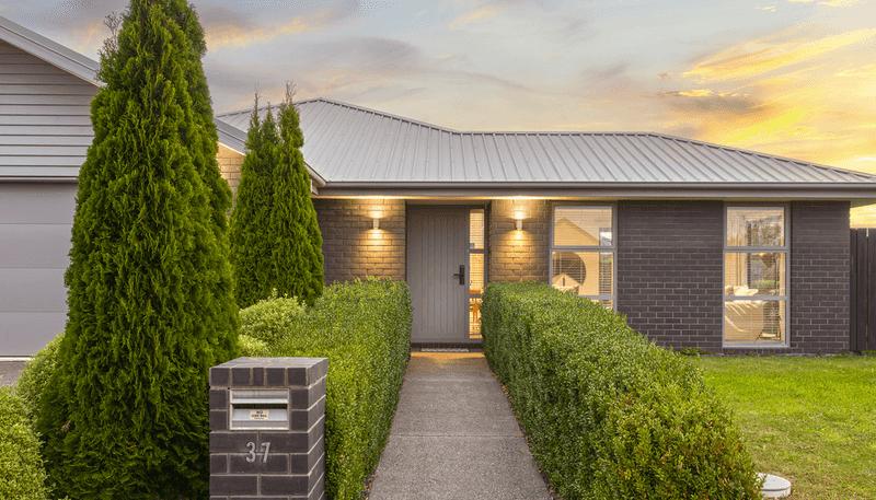 37 Greenwich Street, Halswell