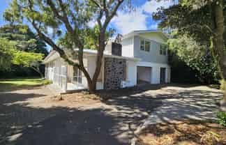 275a Carrington Street, Vogeltown