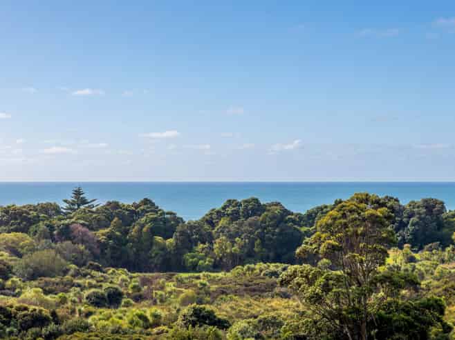 17 Humenga Place, Long Bay