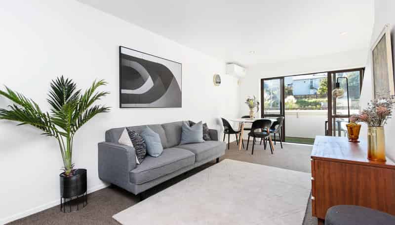 19/ Rossmay Terrace, Mount Eden