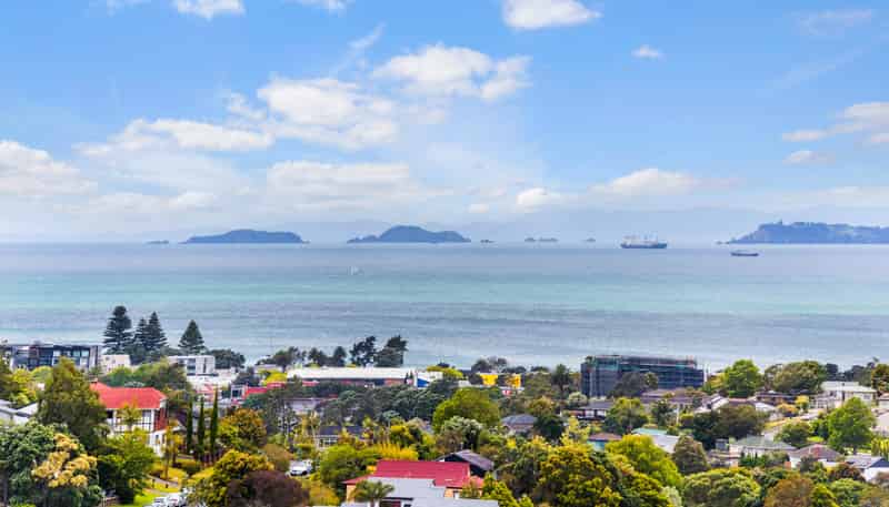 1/735 East Coast Road, Browns Bay