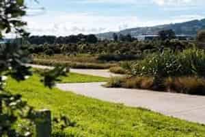 57  Rorotu Ave, Karaka