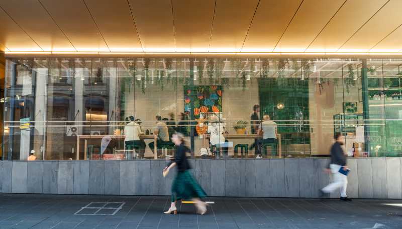 87 Albert Street, Auckland Central
