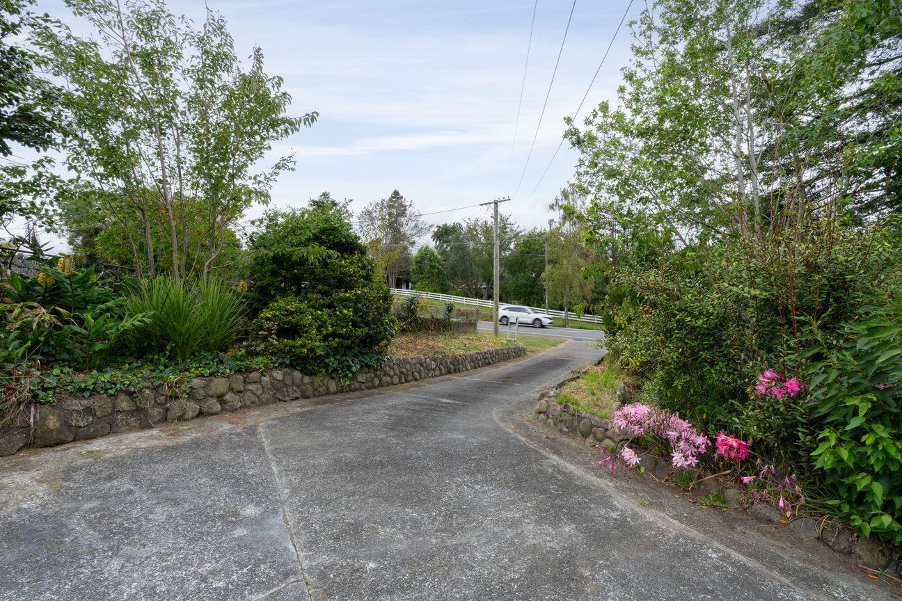 Bring a Reasonable Offer! Vendor on the Move! - Vista 5