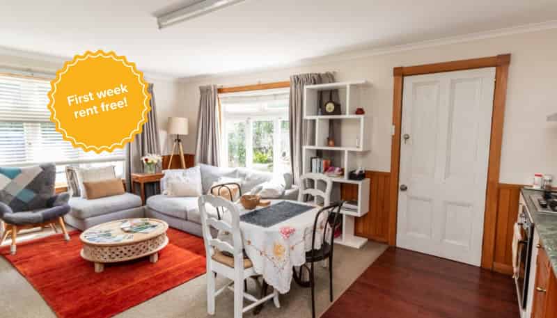 117 Severn Street (Bottom Unit), Island Bay