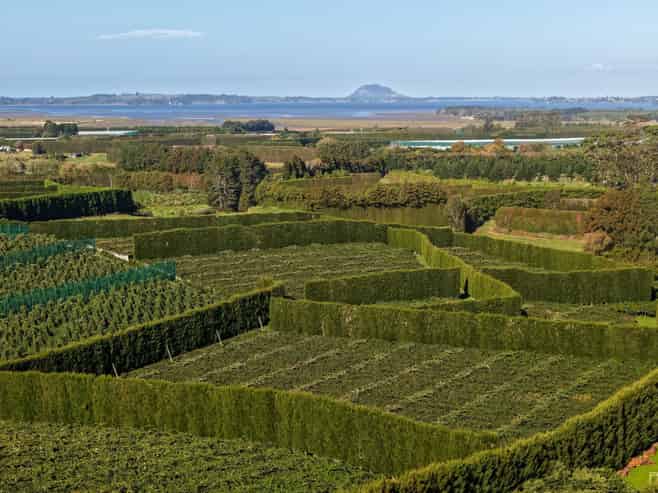 78B Walker Road East, Aongatete