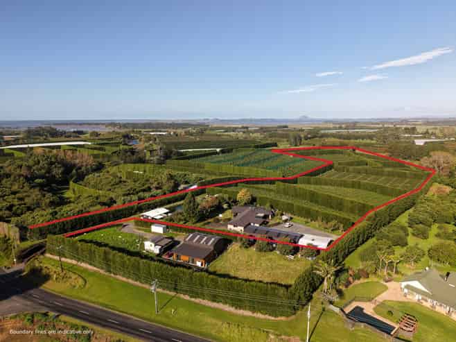 78B Walker Road East, Aongatete
