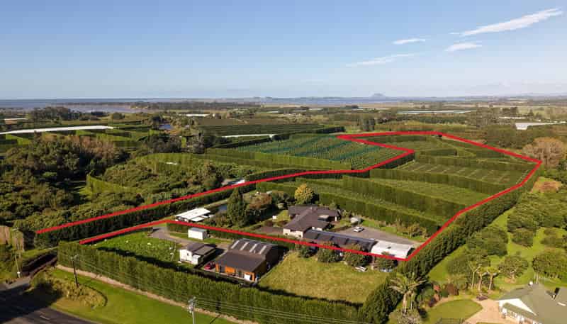 78B Walker Road East, Aongatete