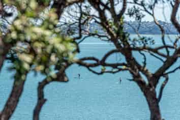 4/259 Jervois Road, Herne Bay