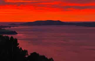 Otago - Address withheld