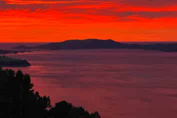 Otago - Address withheld