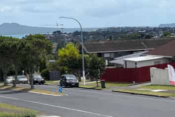 73 Highland Park Drive, Botany Downs