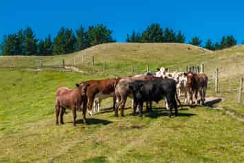 363 Caseys Road, Blind River