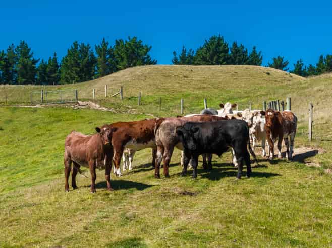 363 Caseys Road, Blind River