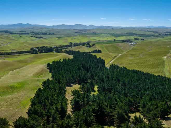 363 Caseys Road, Blind River