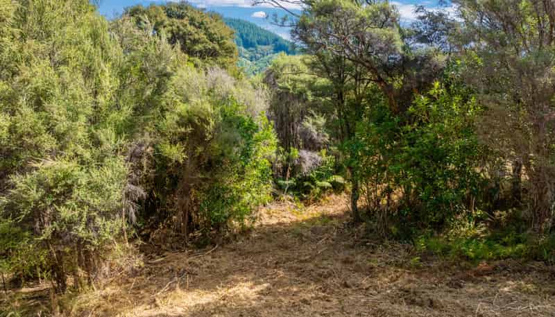Lot 10 Kaiuma Bay Road, Kaiuma Bay