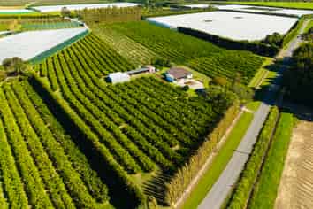 75 Brown Road, Ormond