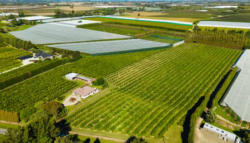 75 Brown Road, Ormond