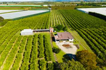 75 Brown Road, Ormond